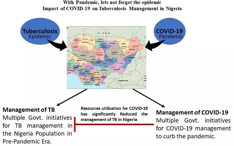 Graphical Abstract